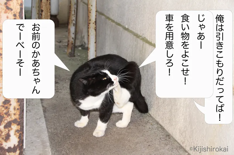 ネコ写真4コマショートコント タイトル 立てこもるネコ 2コマ目 ネコのファニーがネコ須賀警察のイノセント警部補に立てこもりの犯人にされたまま要求をしてしまう