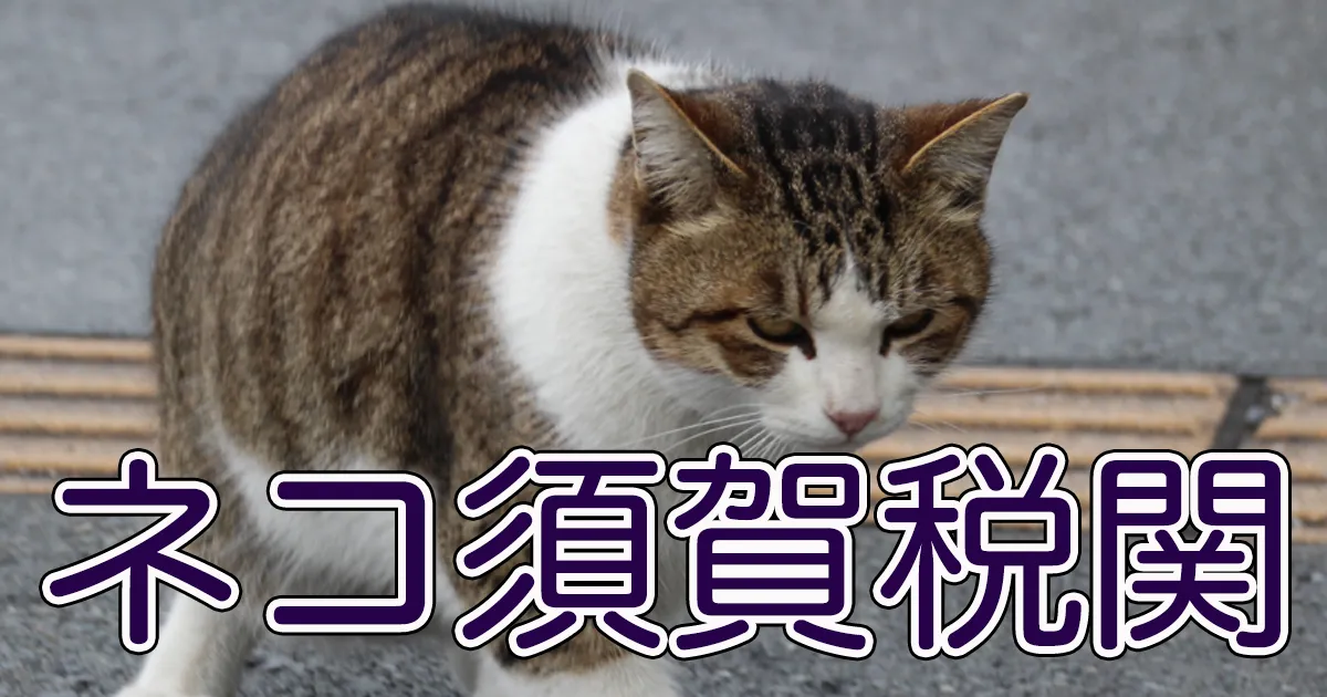 ネコ写真4コマショートコント タイトル ネコ須賀税関