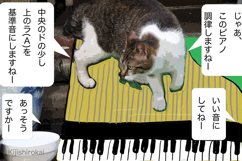 ネコ写真4コマショートコント タイトル  ピアノ調律師  1コマ目 ネコのピアノ調律師のラドロンがお客さんのピアノを調律しようとしてお客さんに基準音で調律しますと言う